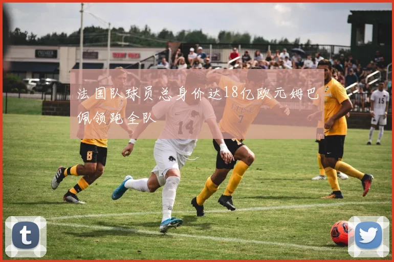 法国队球员总身价达18亿欧元姆巴佩领跑全队