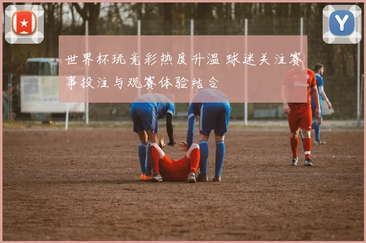 世界杯玩竞彩热度升温 球迷关注赛事投注与观赛体验结合